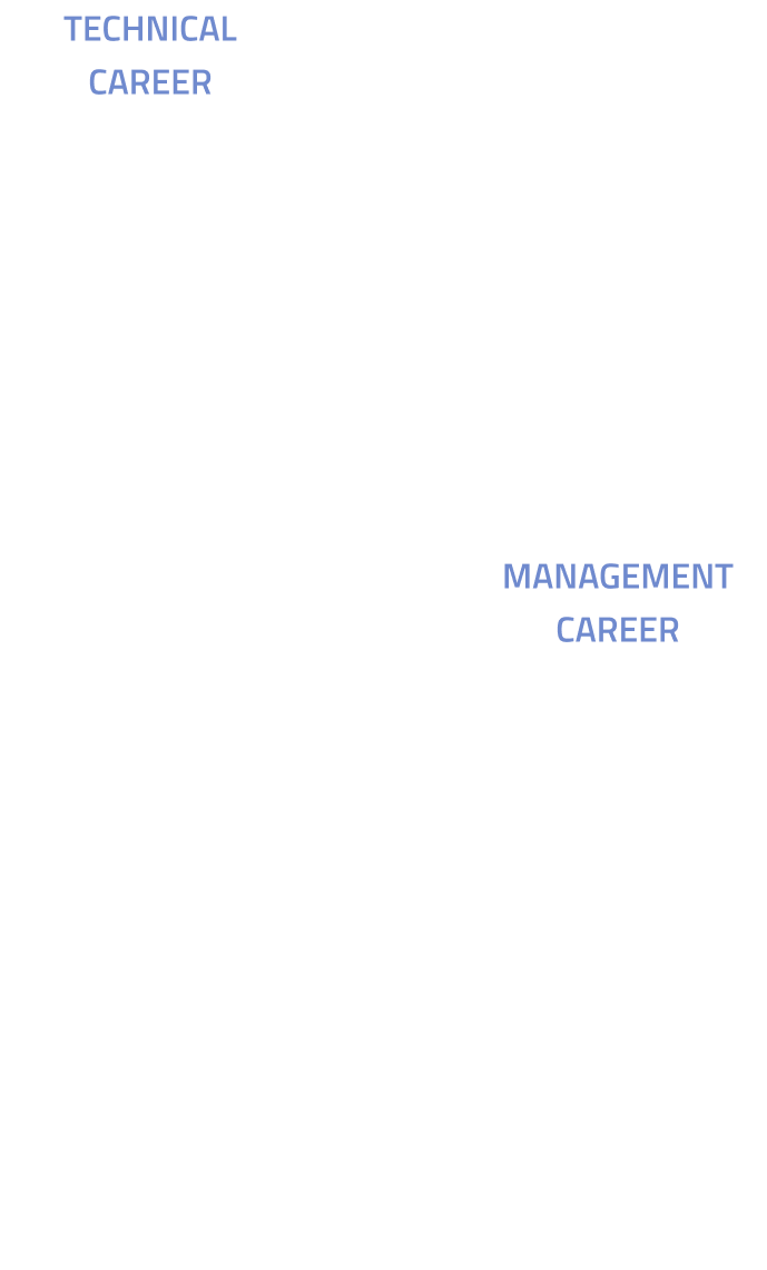 CAREER DEVELOPMENT